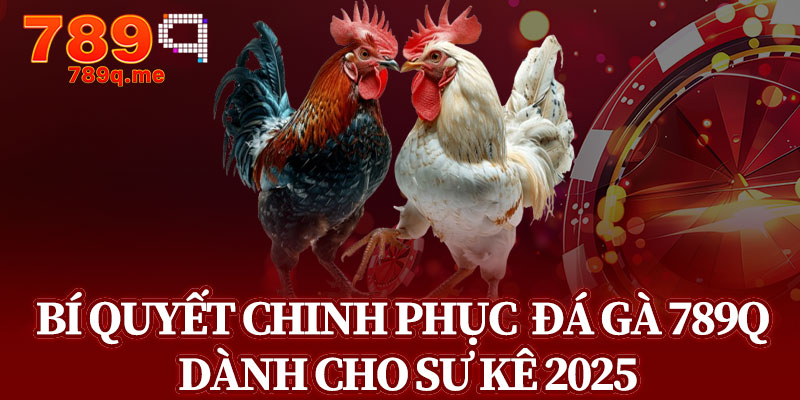 Bí Quyết Chinh Phục Sảnh Đá Gà 789q Dành Cho Sư Kê 2025