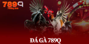 Đá Gà 789q
