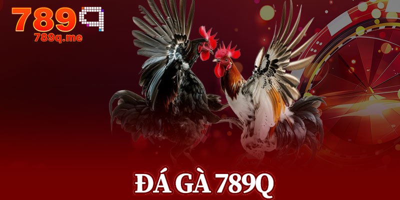 Đá Gà 789q