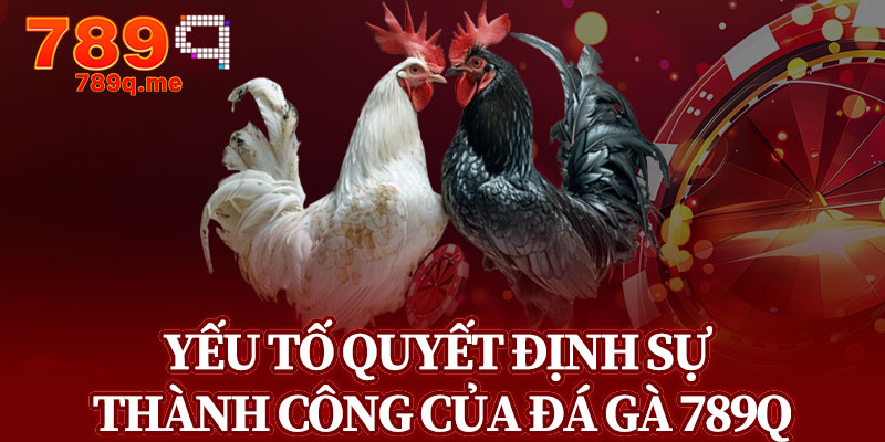 Yếu Tố Quyết Định Sự Thành Công Của Đá Gà 789q