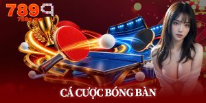 Cá Cược Bóng Bàn